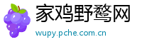 家鸡野鹜网